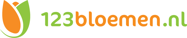 Logo 123Bloemen.nl